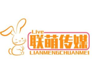 遼寧聯萌文化傳媒 文化傳播的橋梁與創新力量